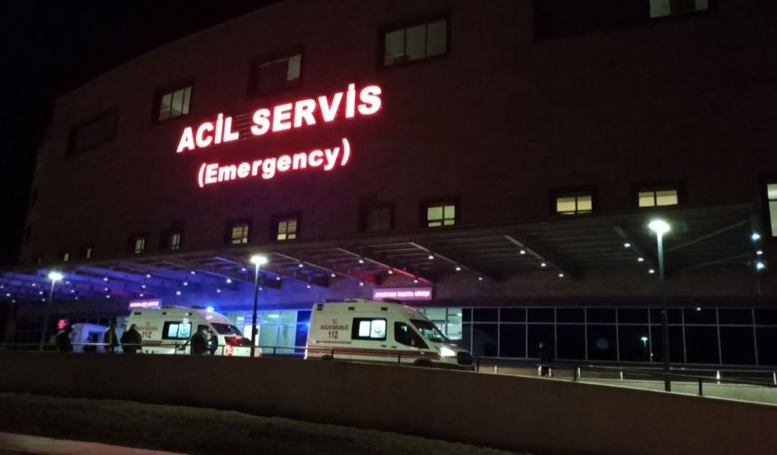 Keçinin saldırısına uğrayan kadın öldü