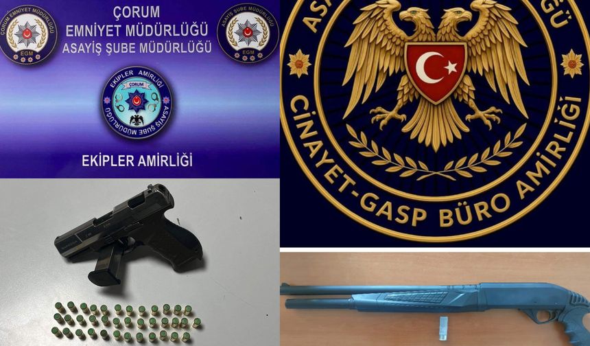 Asayiş operasyonlarında  çok sayıda silah ele geçirildi