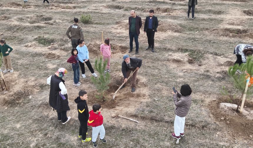Kargı'da Milli Ağaçlandırma Günü'nde fidanlar toprakla buluşturuldu