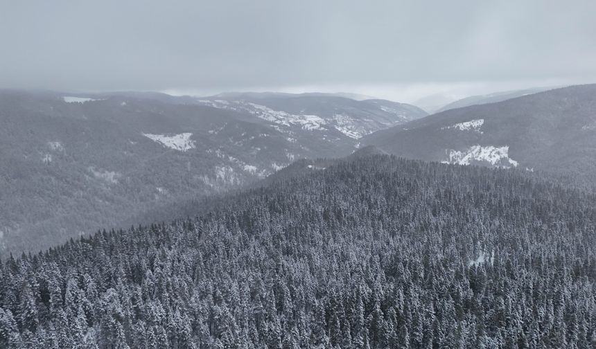 Beyaza bürünen Ilgaz Dağı havadan görüntülendi