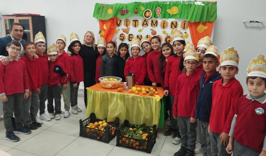 Osmancık C vitamini şenliği