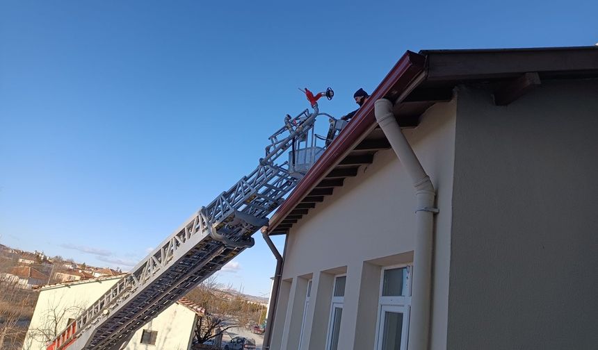 Binanın çatısında mahsur kalan  kediyi itfaiye ekibi kurtardı