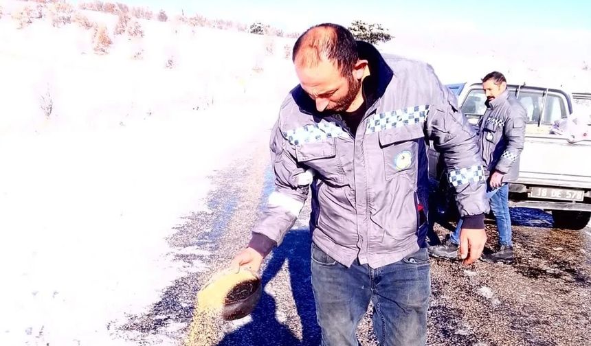 Ortaköy Belediyesi’nden  yaban hayatına kış desteği