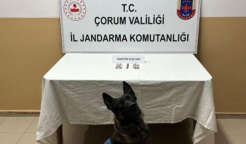 Uyuşturucu hapla yakalanan 3 kişi gözaltına alındı
