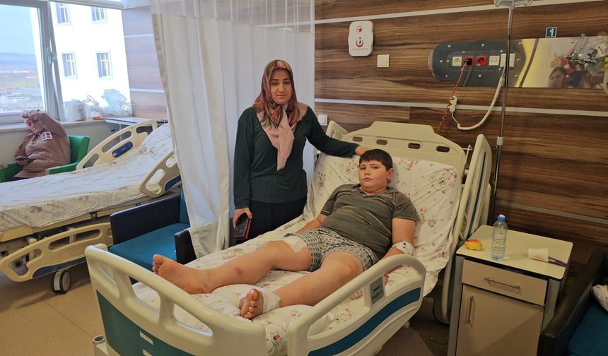 Çorum’da köpeklerin saldırısına uğrayan çocuğun ailesi konuştu