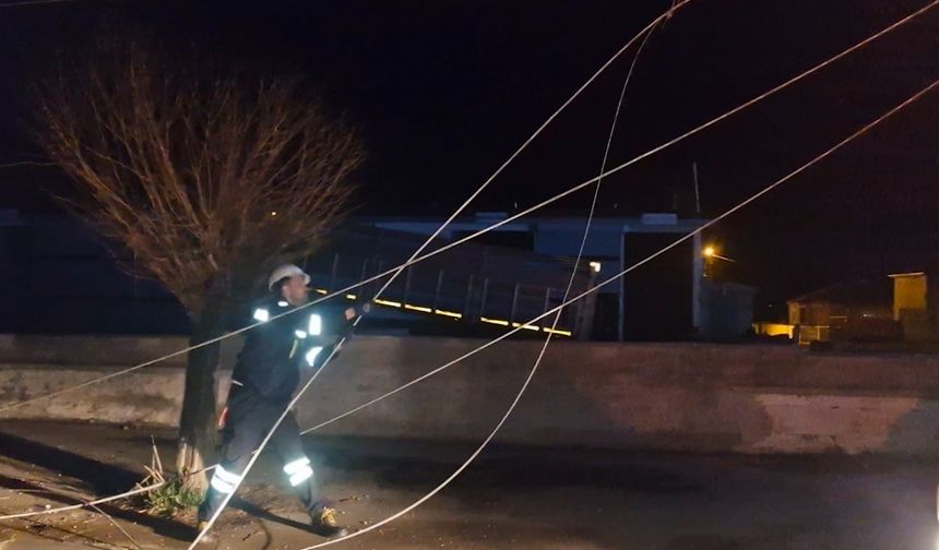 Alaca'da kamyon, elektrik ve  telefon hatlarına zarar verdi