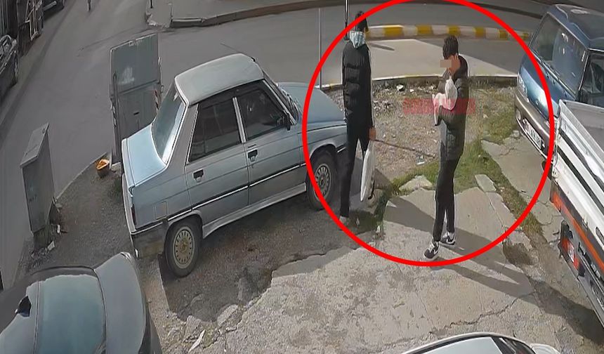 Çorum'da sahipli kediyi çalan iki genç kameraya yakalandı