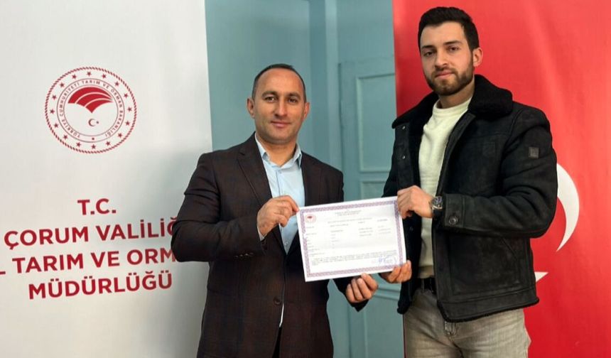 Bayat’ta ari işletme sayısı artıyor