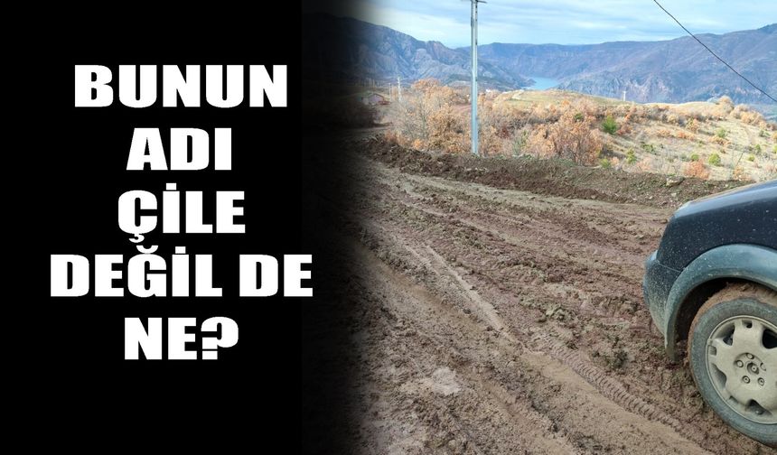 Bunun adı çile değil de ne?