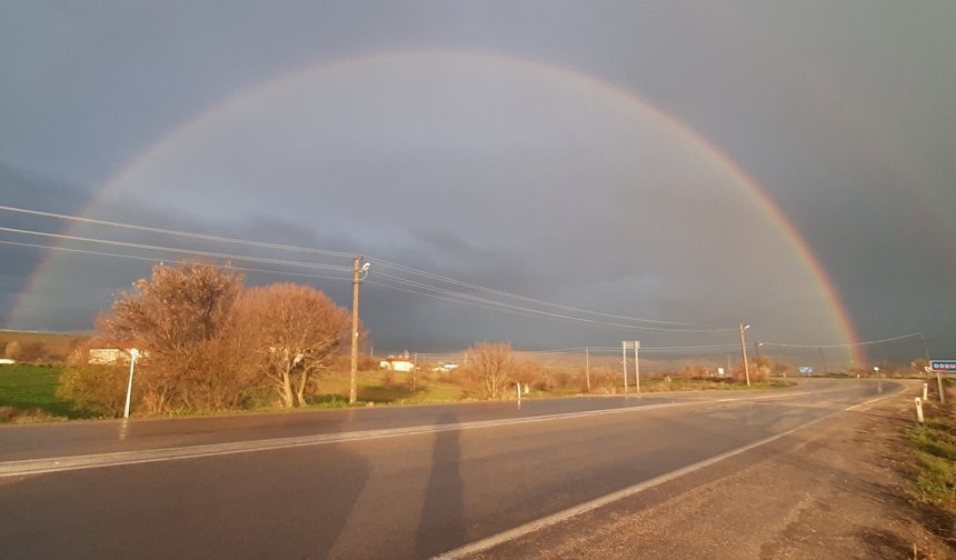 Yağmurun ardından  gelen renk cümbüşü