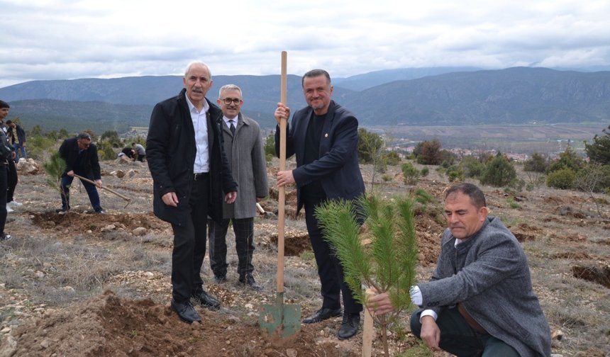 Kargı'da 250 fidan  toprakla buluştu