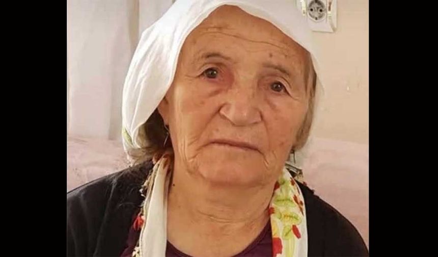 Asırlık çınar Hanife  Cerit hayatını kaybetti
