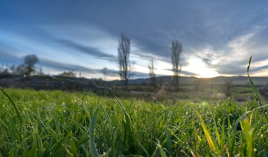 Doğa yürüyüşünde karşılaştığımız o hazine! Çorum'un bereketli toprakları...