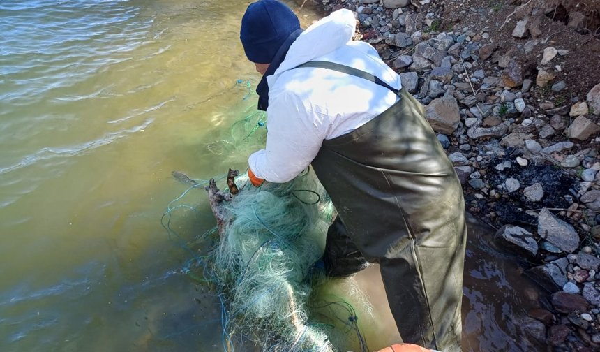 Çorum’da kaçak avcılığa geçit yok