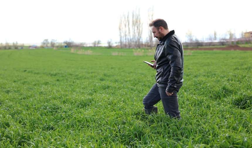 Çorumlu çiftçinin işi kolaylaşacak: Yapay Zeka, çiftçinin 'dijital mühendisi' oldu!