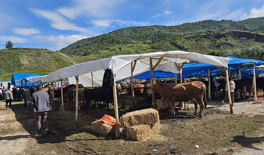 Bayat'ta hayvan pazarı açıldı