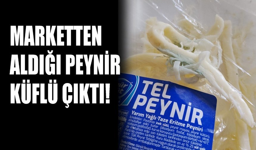 Marketten aldığı peynir küflü çıktı!