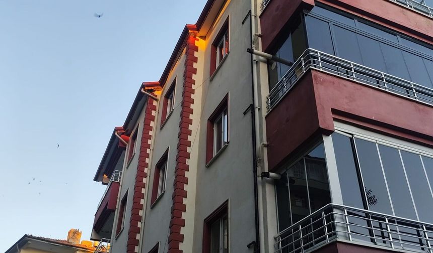 Binanın çatısına sıkışan kırlangıcı itfaiye kurtardı