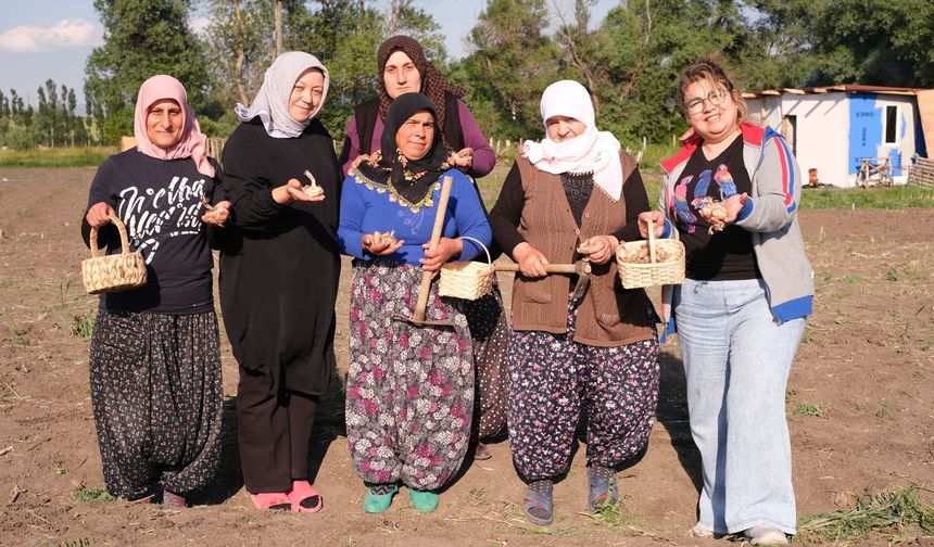 Çorum'un üretken kadınları belgesel oluyor