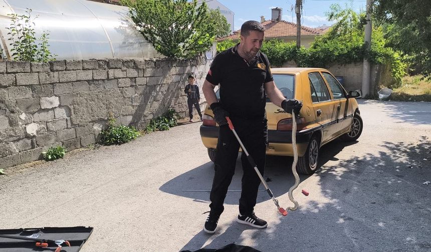 Otomobilin altına giren yılan  itfaiye ekiplerince çıkarıldı