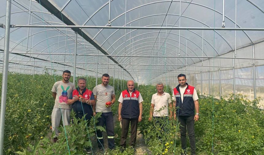 Seralarda sıkı takip, üreticiye  yerinde teknik destek