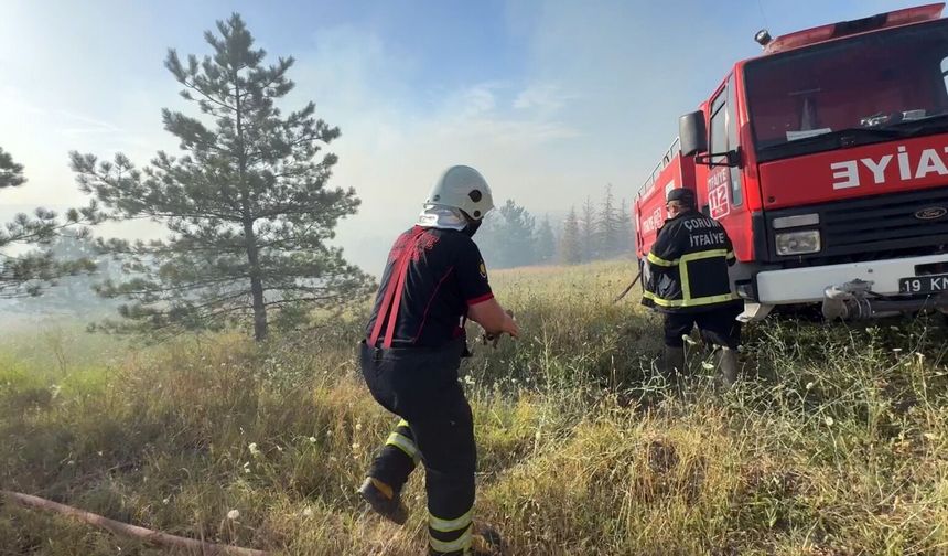 “Yangınların yüzde 90'dan fazlası insan kaynaklı" dedi uyardı!