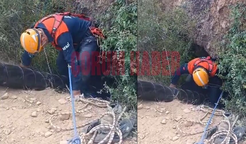 Define arayışı kabusa döndü: 30 metre derinlikte mahsur kaldı