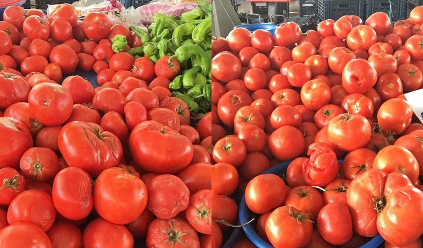 Bu kez pazarcılar dert yandı: "Seçmiyorlar, hırpalıyorlar"