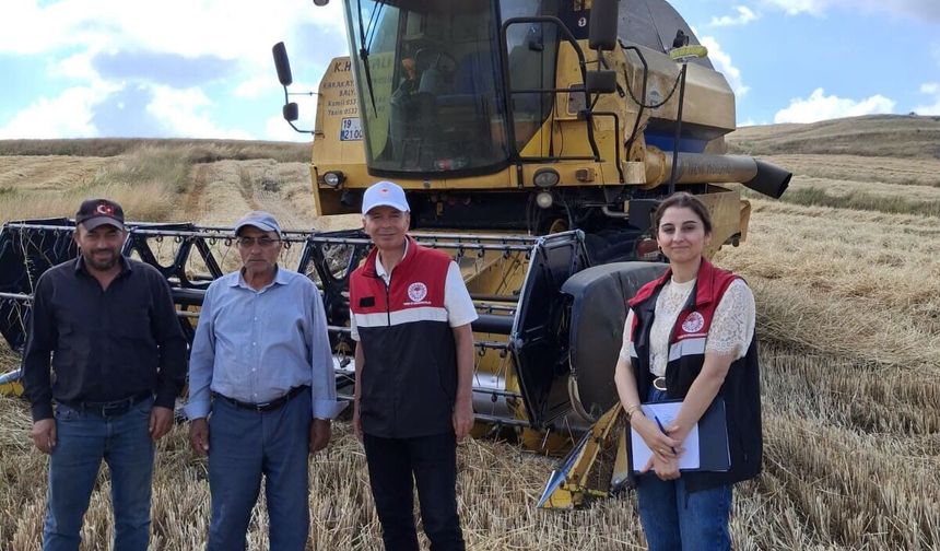 Alaca’da hububat  hasadına sıkı denetim