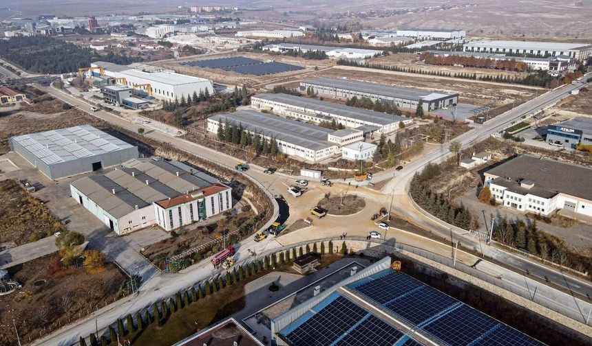 Kaya: 1950 dönüm alanın 1650'si Ahlatcı'ya ayrıldı