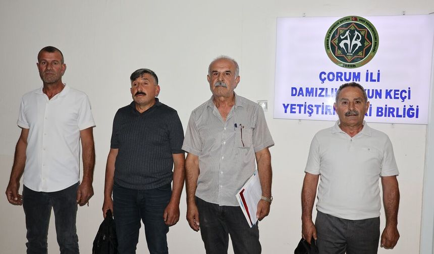 Görevden alma kararı mahkemelik oldu!