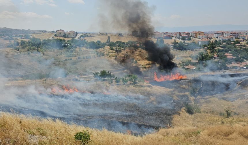 Son dakika... Çorum'da Şehitlik arkasındaki alanda yangın