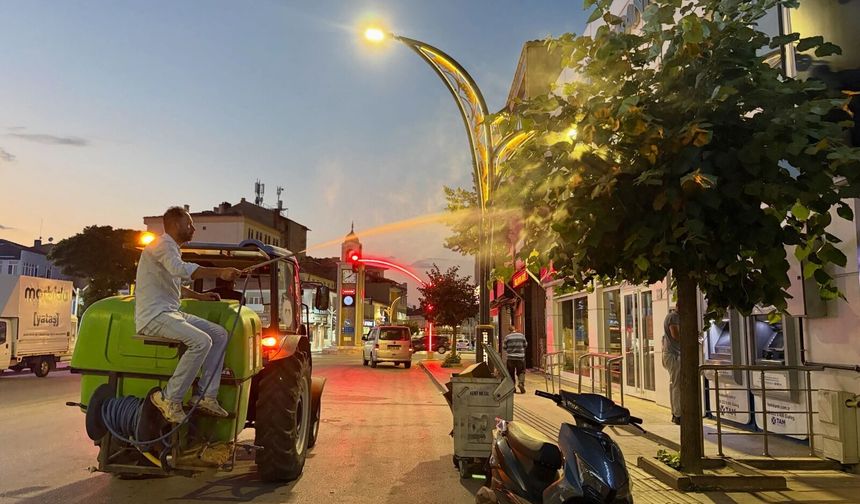 Haşereye karşı ilaçlama çalışmaları sürüyor
