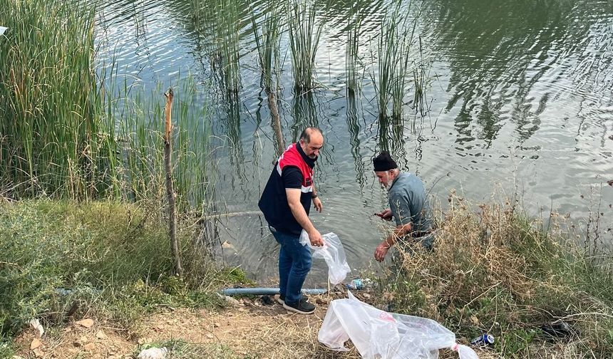 Dodurga'da gölete  yavru balık bırakıldı