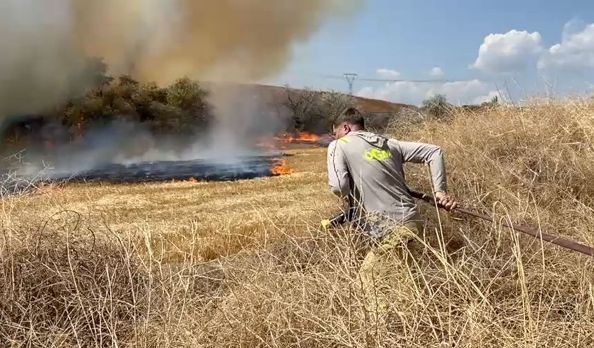 Çorum'da anız yangını ağaçlık alana sıçradı, 400 dekara yayıldı