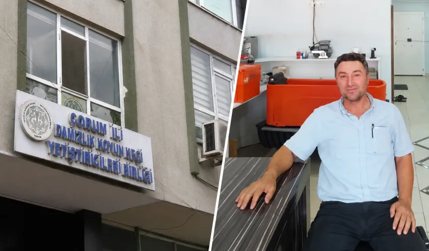 Birlikte gerilim büyüyor! O iddialara yanıt geldi
