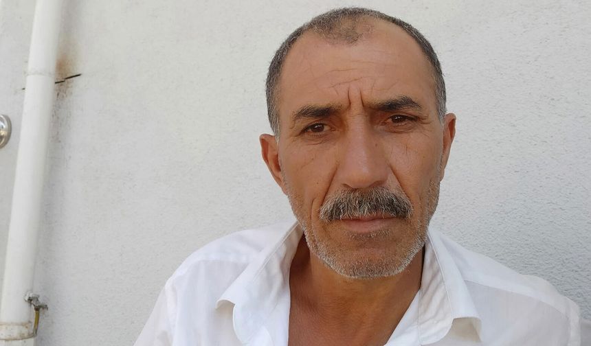 Arı sokan şahıs  hayatını kaybetti