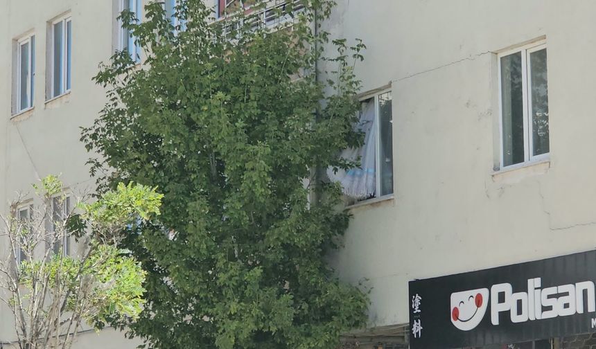 Polisi görünce pencereden atladı!