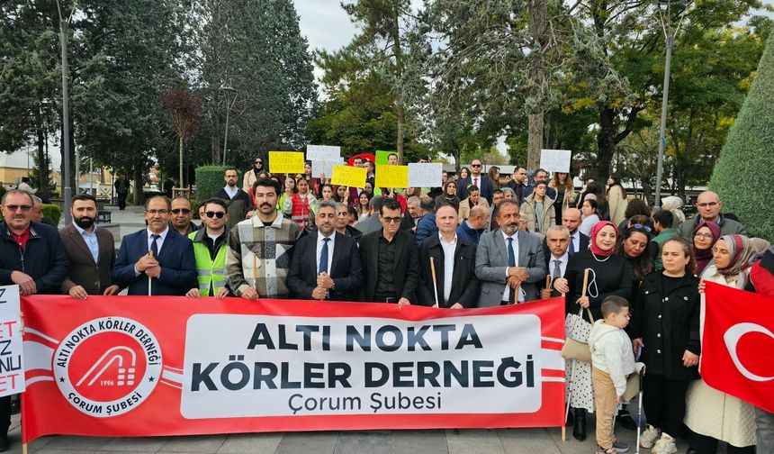 Beyaz bastonla farkındalık yürüyüşü