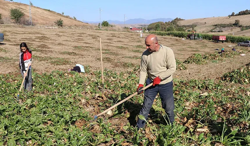 Pancar fiyatı Çorumlu üreticiyi memnun etmedi