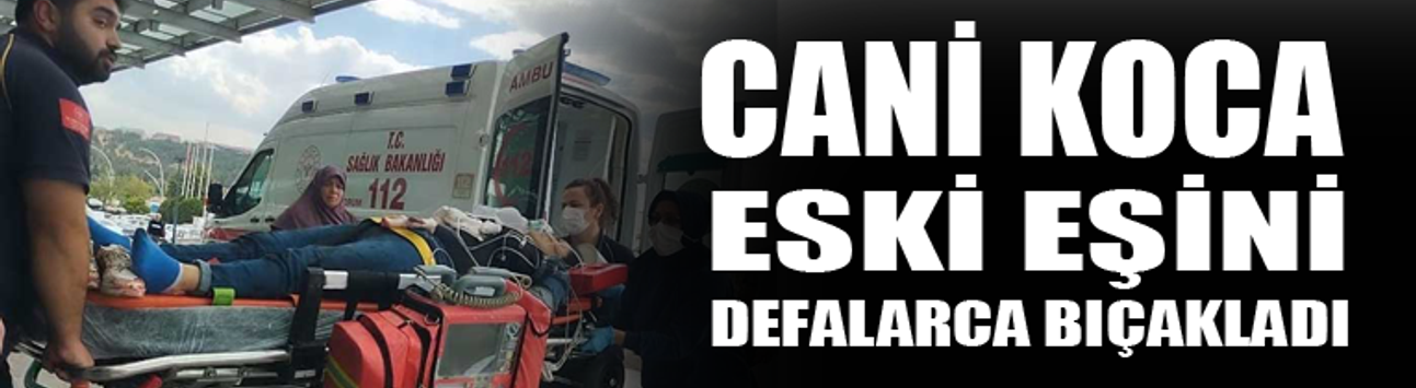 Eski eşini defalarca bıçakladı